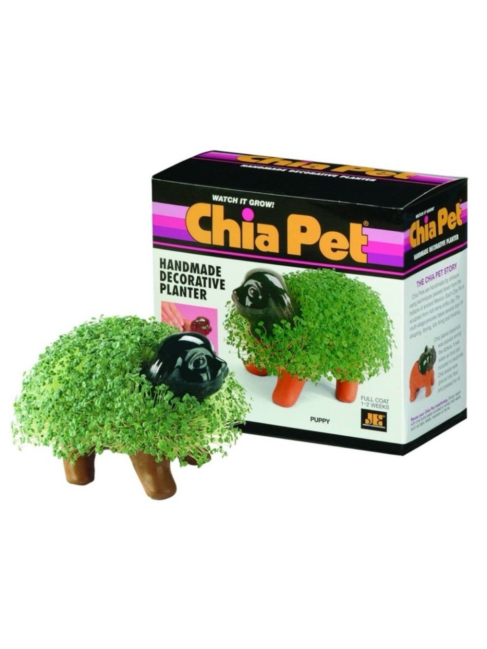 ⭐️ 5 for $25⭐️ New sealed chia pet puppy